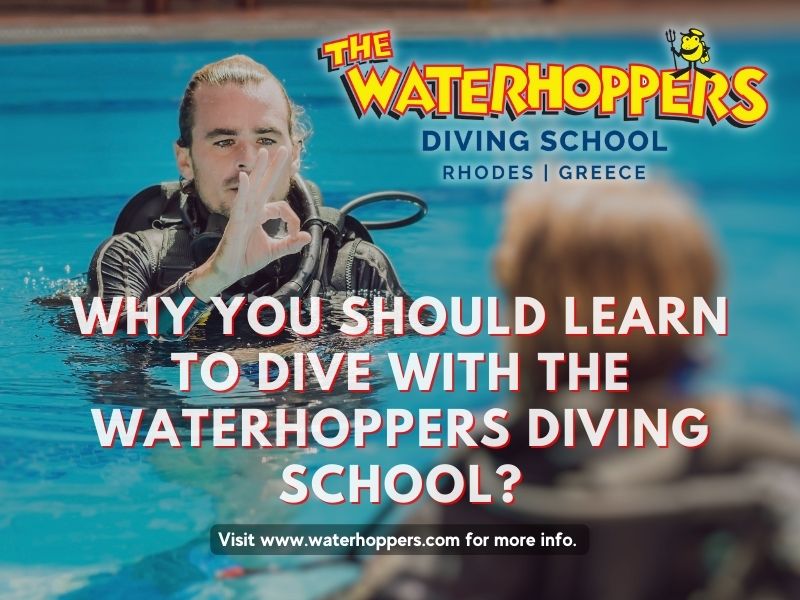Why You Should Learn to Dive With the Waterhoppers Diving school 